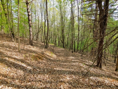 Mountain Land for Sale in Ferrum VA - image 7