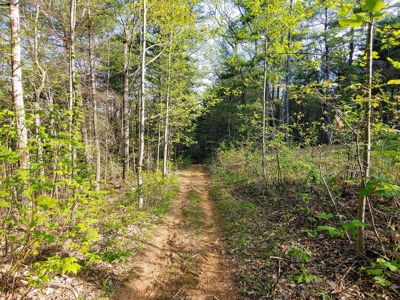 Mountain Land for Sale in Ferrum VA - image 4