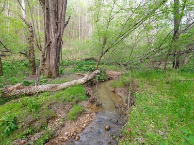 Mountain Land for Sale in Ferrum VA - image 3