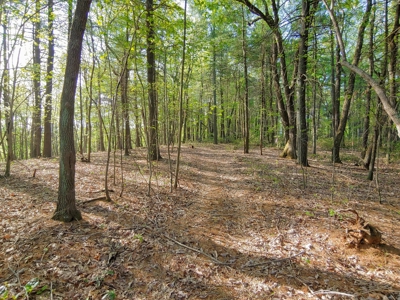 Mountain Land for Sale in Ferrum VA - image 1