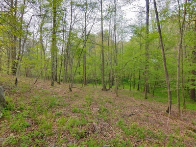 Mountain Land for Sale in Ferrum VA - image 2