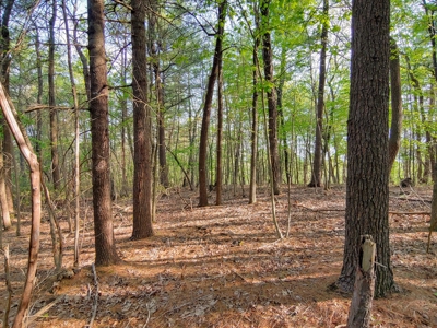 Mountain Land for Sale in Ferrum VA - image 6