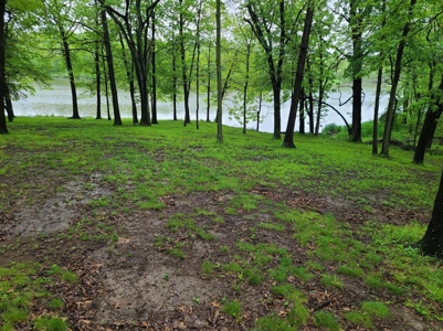 Waterfront Lot For Sale - image 8