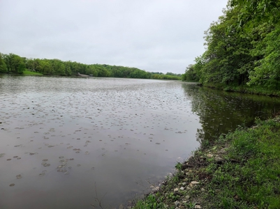 Waterfront Lot For Sale - image 6