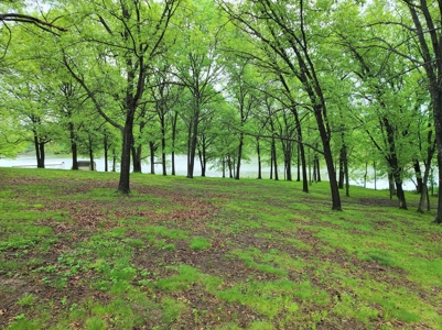 Waterfront Lot For Sale - image 1
