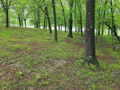 Waterfront Lot For Sale - image 2