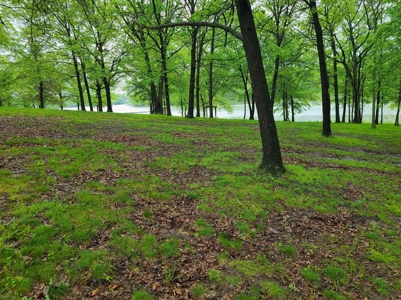 Waterfront Lot For Sale - image 5