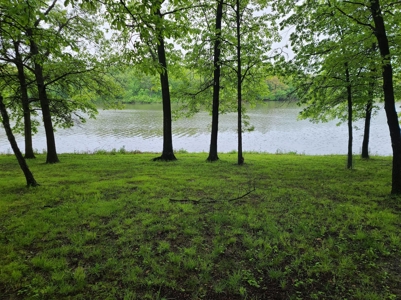 Waterfront Lot For Sale - image 7