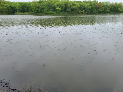 Waterfront Lot For Sale - image 4