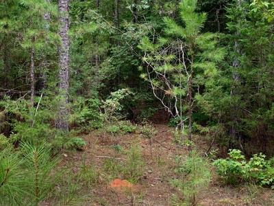 15.58 Wooded Acres Near Blackstock, South Carolina - image 2