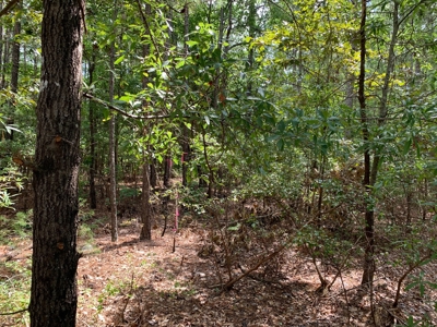 15.58 Wooded Acres Near Blackstock, South Carolina - image 5