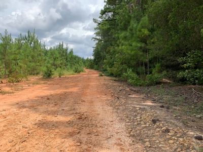 15.58 Wooded Acres Near Blackstock, South Carolina - image 1