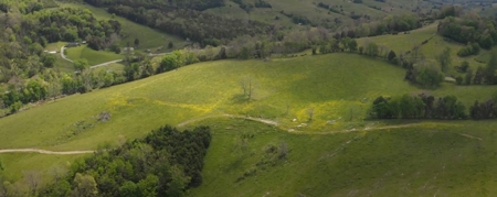 158 Acre Farm With Large Creek in East Tennessee For Sale - image 4