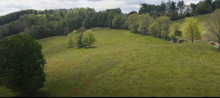 158 Acre Farm With Large Creek in East Tennessee For Sale - image 11