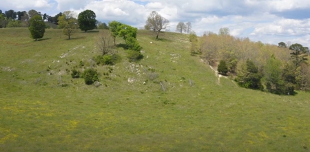 158 Acre Farm With Large Creek in East Tennessee For Sale - image 9