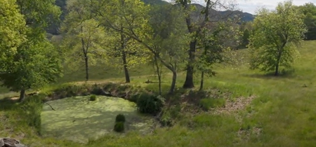 158 Acre Farm With Large Creek in East Tennessee For Sale - image 7