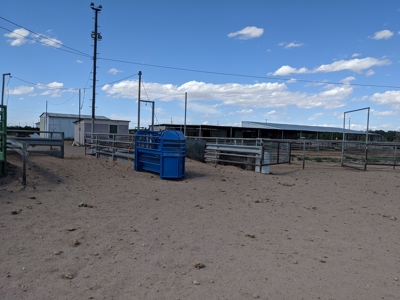 Equine Facility for Sale. 3 bed 2 bath 2 story home on 16 ac - image 3