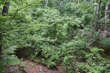 Land For Sale in East Texas With Creek and Waterfall - image 6