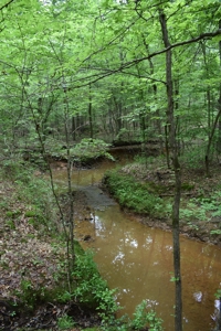 Land For Sale in East Texas With Creek and Waterfall - image 18