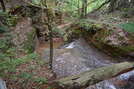 Land For Sale in East Texas With Creek and Waterfall - image 4