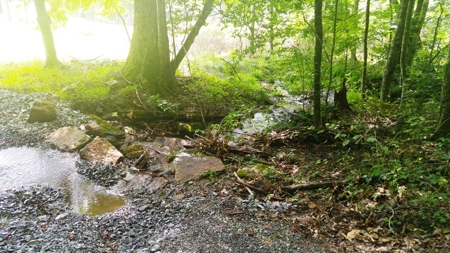 Recreational Retreat for Sale in Abingdon VA - image 41