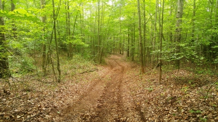 Recreational Retreat for Sale in Abingdon VA - image 33