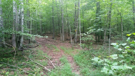 Recreational Retreat for Sale in Abingdon VA - image 31
