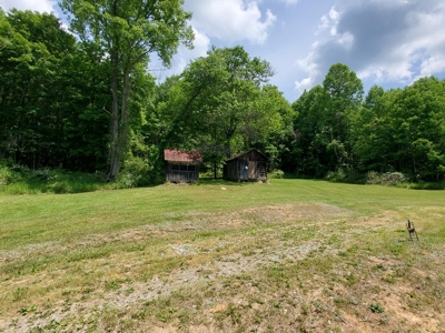 Recreational Retreat for Sale in Abingdon VA - image 2