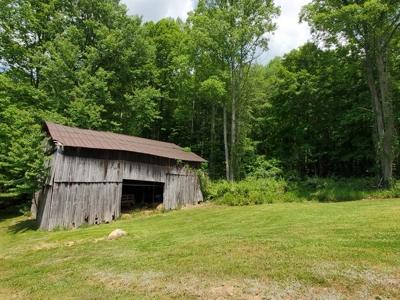 Recreational Retreat for Sale in Abingdon VA - image 5
