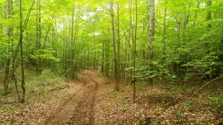 Recreational Retreat for Sale in Abingdon VA - image 34