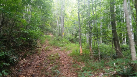 Recreational Retreat for Sale in Abingdon VA - image 29