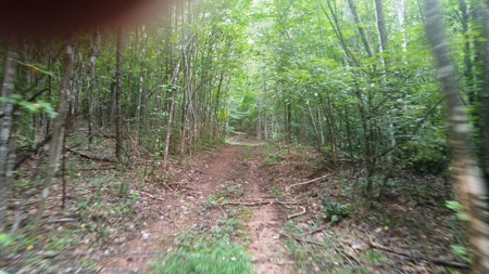 Recreational Retreat for Sale in Abingdon VA - image 30