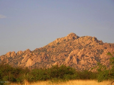 36 Acres in Dragoon Mountain Ranch St David AZ - image 4