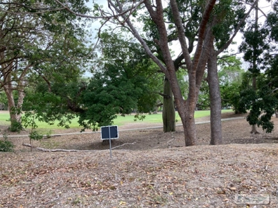 Lot For Sale In Coronado Golf, In Front Of The Course - image 2
