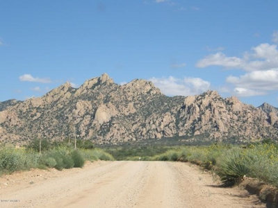 Dragoon Mountain Ranch subdivision is in St David AZ. - image 5
