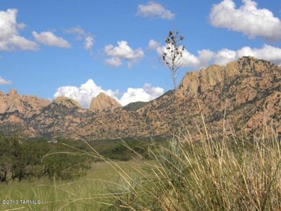 Dragoon Mountain Ranch subdivision is in St David AZ. - image 7