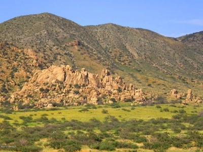 Dragoon Mountain Ranch subdivision is in St David AZ. - image 2