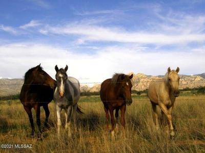 Dragoon Mountain Ranch subdivision is in St David AZ. - image 12