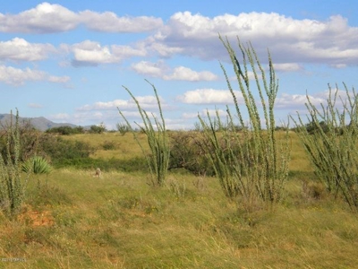 Acreage in Dragoon Mountain Ranch St David AZ - image 3