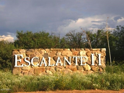Acreage in Dragoon Mountain Ranch St David AZ - image 11