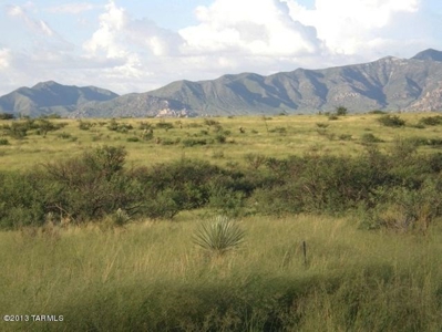 Acreage in Dragoon Mountain Ranch St David AZ - image 5