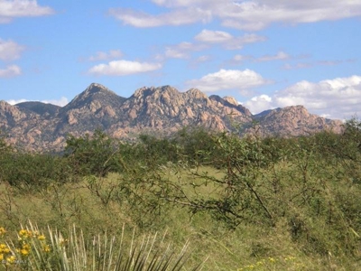 Acreage in Dragoon Mountain Ranch St David AZ - image 1