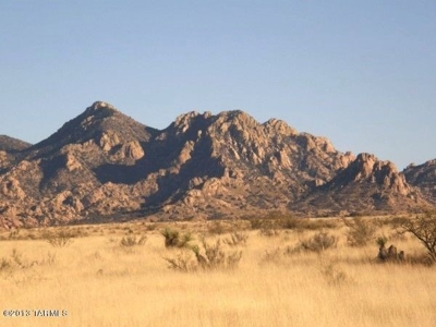 Acreage in Dragoon Mountain Ranch St David AZ - image 6