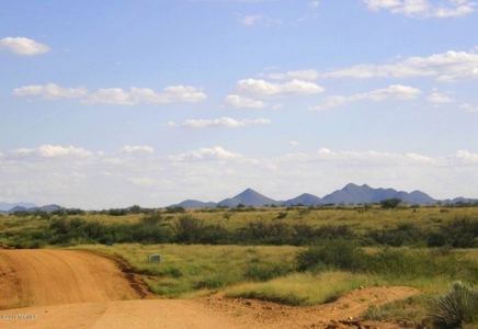 Acreage in Dragoon Mountain Ranch St David AZ - image 7