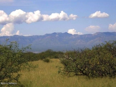 Acreage in Dragoon Mountain Ranch St David AZ - image 8