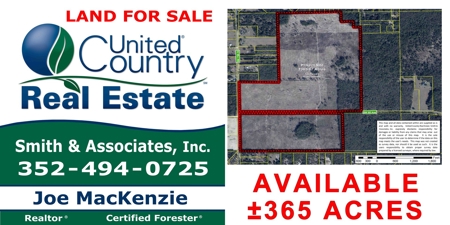 Timberland near U of  Florida with Development Potential - image 1