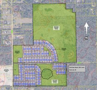 Timberland near U of  Florida with Development Potential - image 2