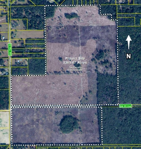 Timberland near U of  Florida with Development Potential - image 3