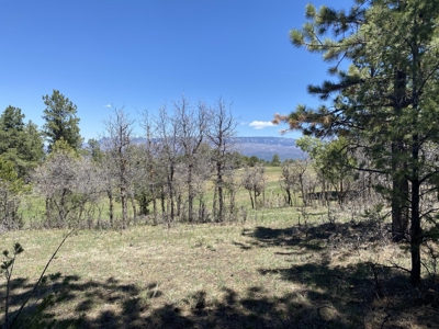 Golf Course Lot For Sale, Log Hill, Ridgway, Colorado - image 4