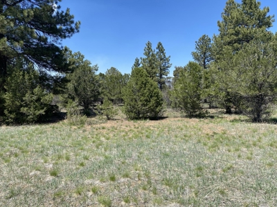 Golf Course Lot For Sale, Log Hill, Ridgway, Colorado - image 2